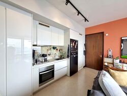 Spottiswoode Residences (D2), Condominium #576811711
